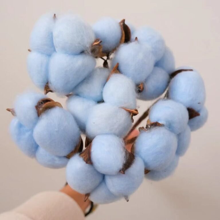  White Gold Memories: The Lost Art of Handpicking Cotton Flowers