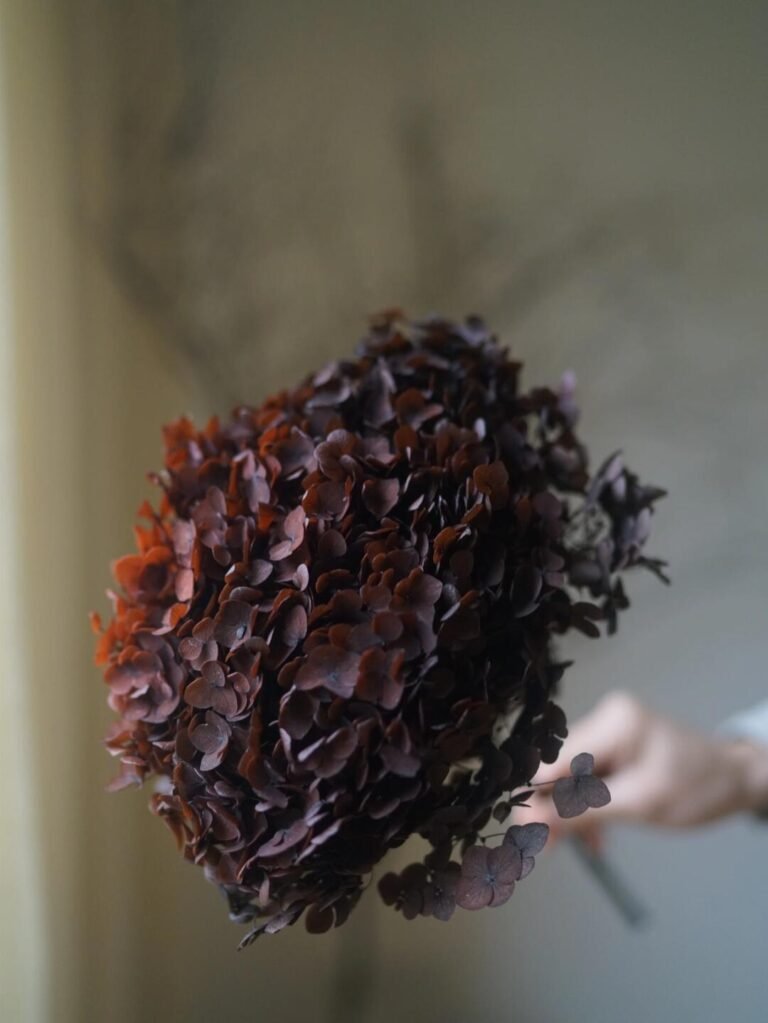 Blooms That Beat the Rain: The UK’s Love Affair with Forever Flowers 