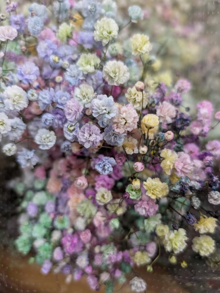 Desert Blooms Forever: The Eternal Flower Love of the UAE 🏜️