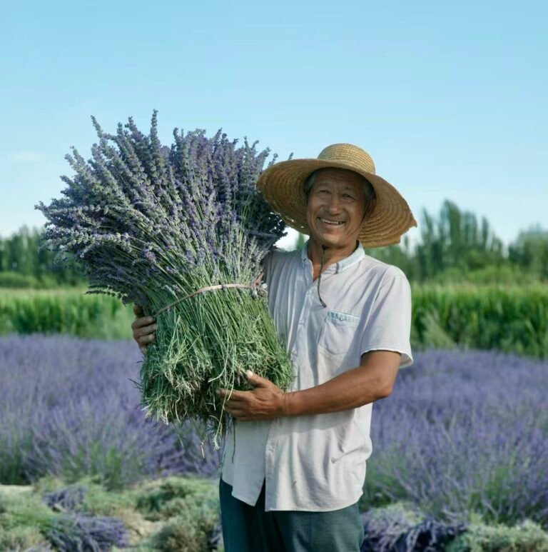 Purple Panacea: The Ultimate Guide to Lavender’s Superpowers