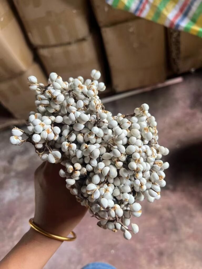 Why Tallow Berry Is Becoming a Favorite in Dried Floral Decor