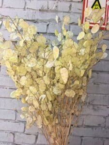 Lunaria Dried Flower Arrangement