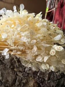 Lunaria Dried Flower Arrangement