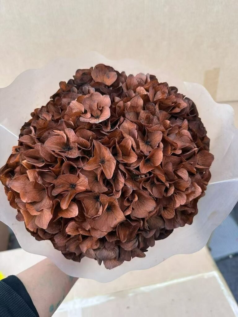 Preserved Bigleaf Hydrangea: Floral Design Ideas and Wholesale Buying Tips
